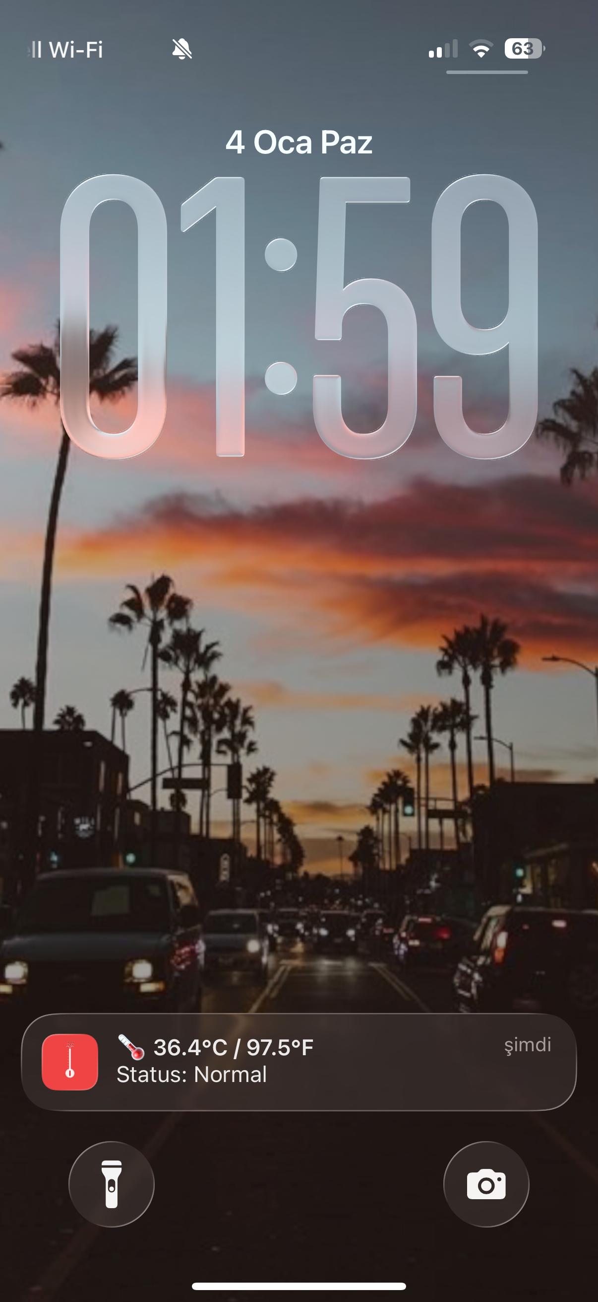 PhoneTemperature Performance Monitor Screen